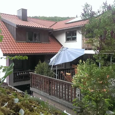 Frauenschuh Hirschbach (Bavaria)