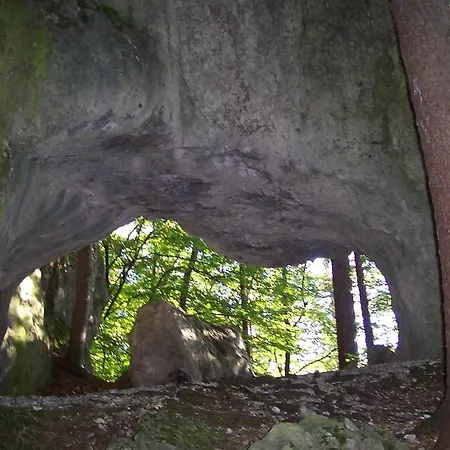 Frauenschuh 3* Hirschbach (Bavaria)
