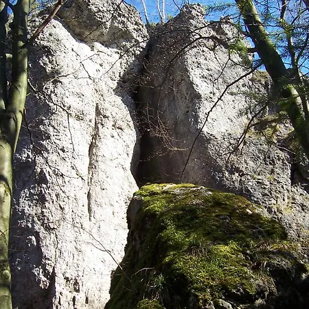 게스트하우스 Frauenschuh Hirschbach (Bavaria)