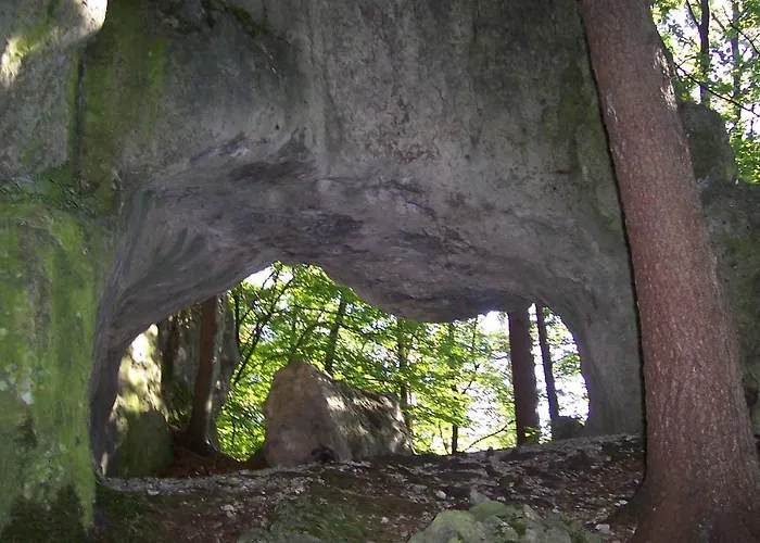 Frauenschuh * Hirschbach (Bavaria)