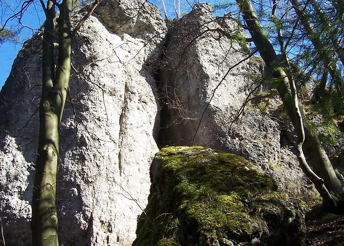 Gasthuis Frauenschuh Hirschbach (Bavaria)